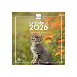 CALENDARIO PARED 30X30...