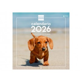 CALENDARIO PARED 30X30...