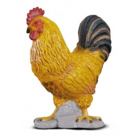 GALLO