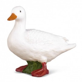 PATO BLANCO