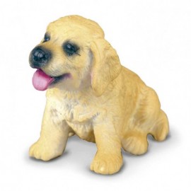 CACHORRO GOLDEN RETRIEVER