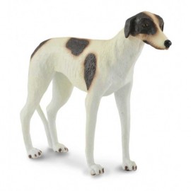 GALGO INGLES