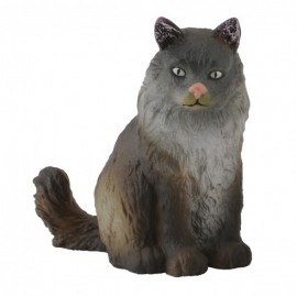 GATO DEL BOSQUE NORUEGO...