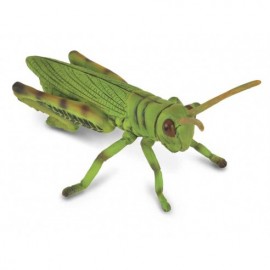SALTAMONTES