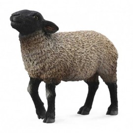 OVEJA SUFFOLK TIPO INGLES