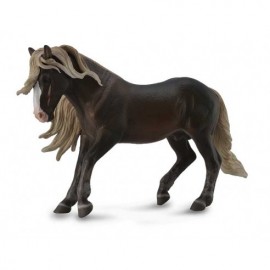 CABALLO STAILLON BLACK FOREST