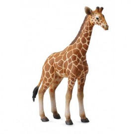 JIRAFA