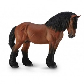 CABALLO ARDENAS STAILLON BAY