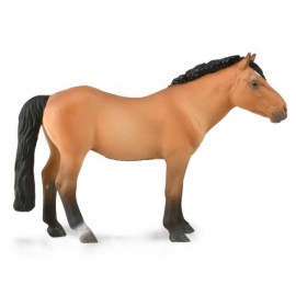 CABALLO MONGOL