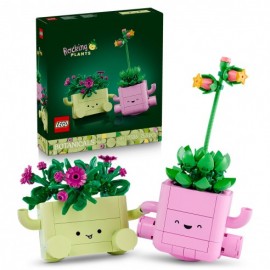 PLANTAS BAILARINAS 11506...