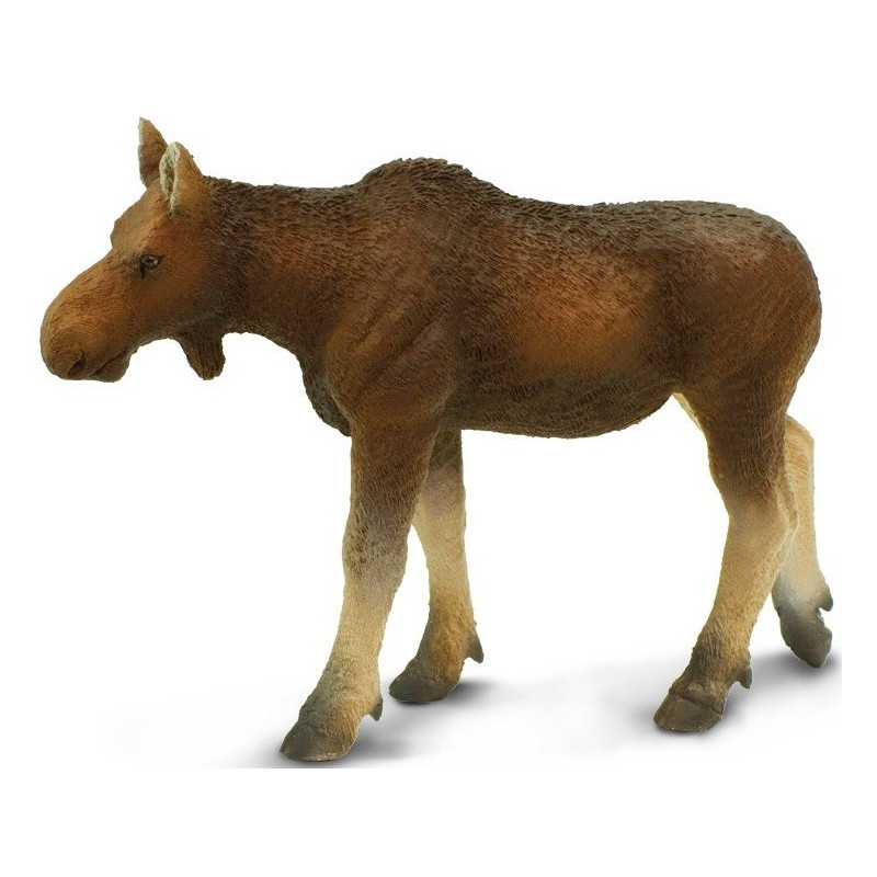 ANTA HEMBRA