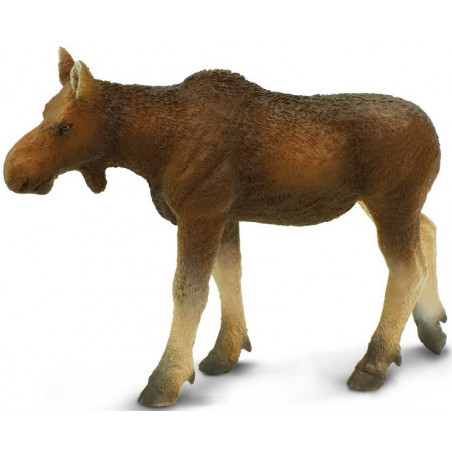 ANTA HEMBRA