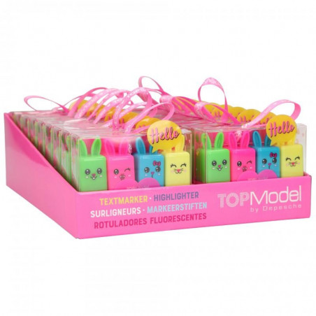 SET 4 MINIMARCADORES TOPMODELS