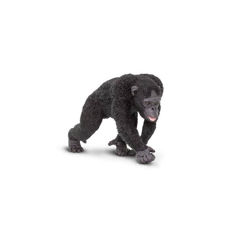 CHIMPANCE
