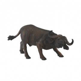 BUFALO AFRICANO