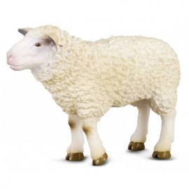 OVEJA