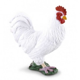 GALLINA