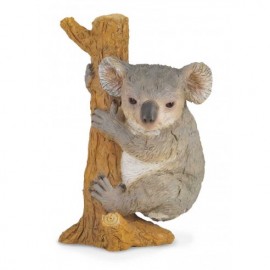 KOALA