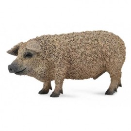CERDO MANGALICA