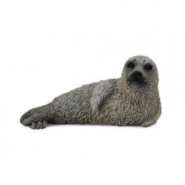 CRIA DE FOCA MANCHADA