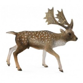 GAMO EUROPEO MACHO
