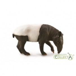 TAPIR MALAYO